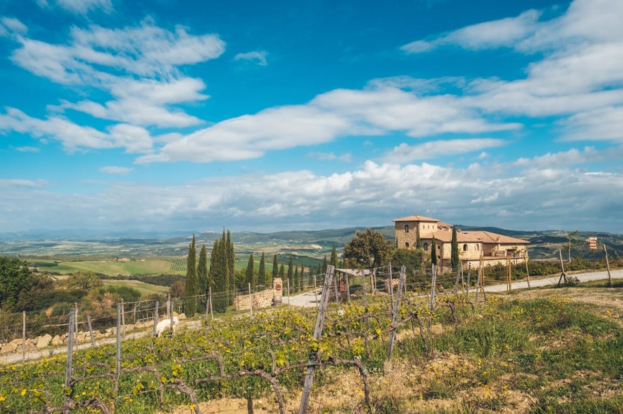 Maremma: degustazione di vino Sangiovese — 2