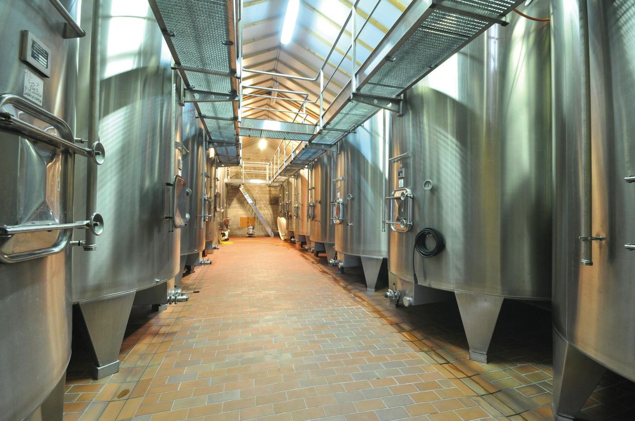Médoc: Tour dei Vini di un'Intera Giornata da Bordeaux — 4