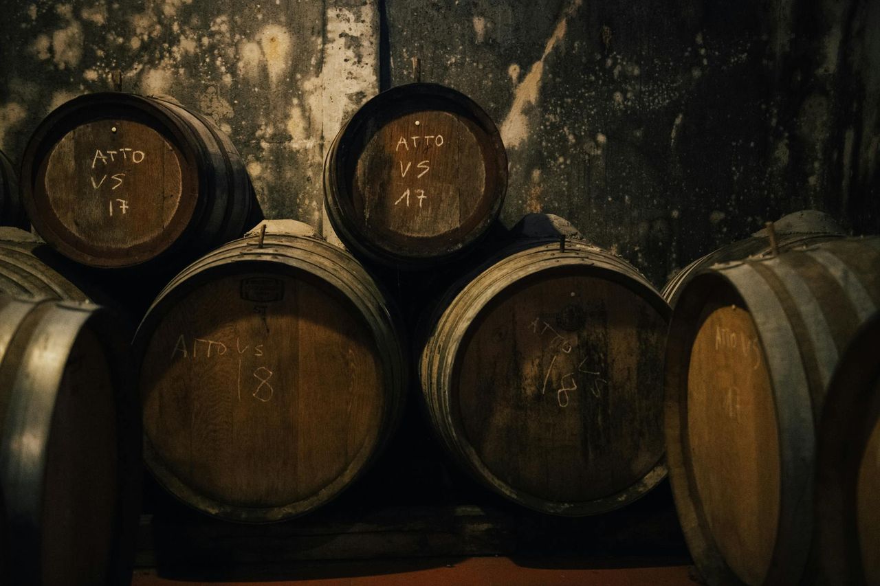 Chianti: tour guidato dei vini da Firenze + degustazione — 2