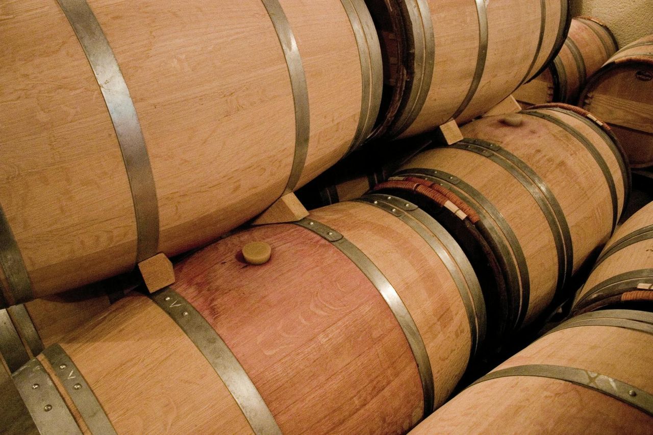 Médoc: Tour dei Vini di Mezza Giornata da Bordeaux — 5