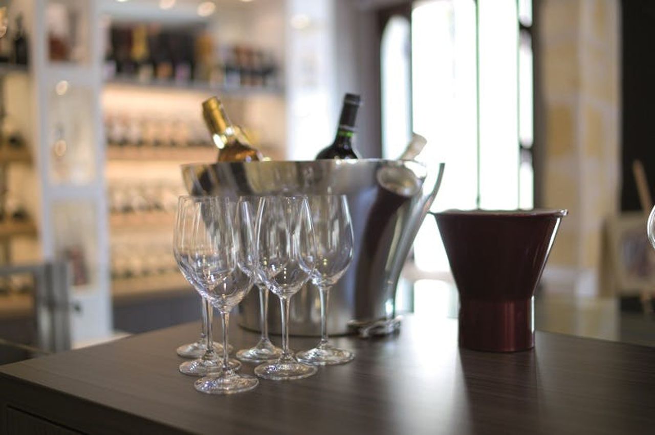 Villaggio di Saint-Émilion: Tour del Vino di Mezza Giornata da Bordeaux — 5