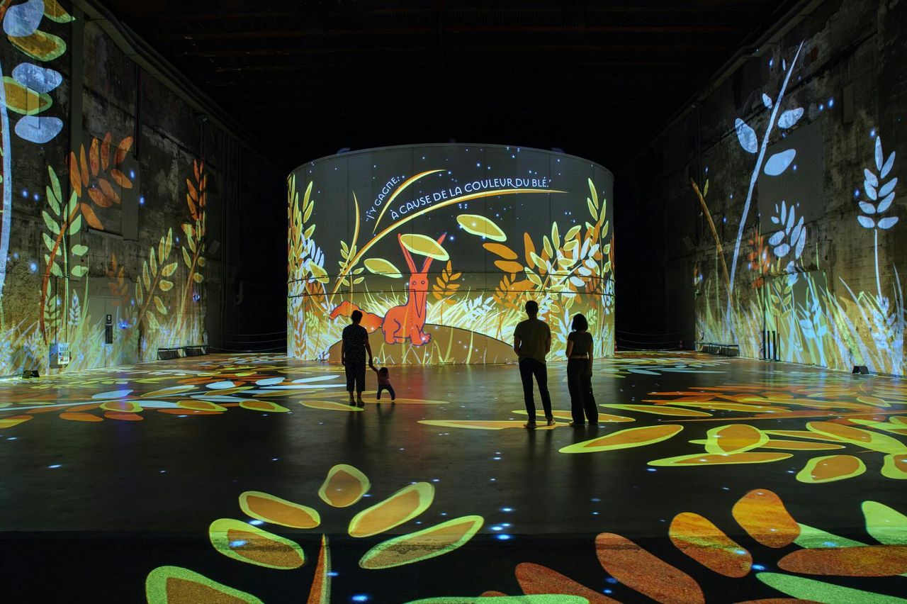 Bassins des Lumières: Mostra Il Piccolo Principe — 5