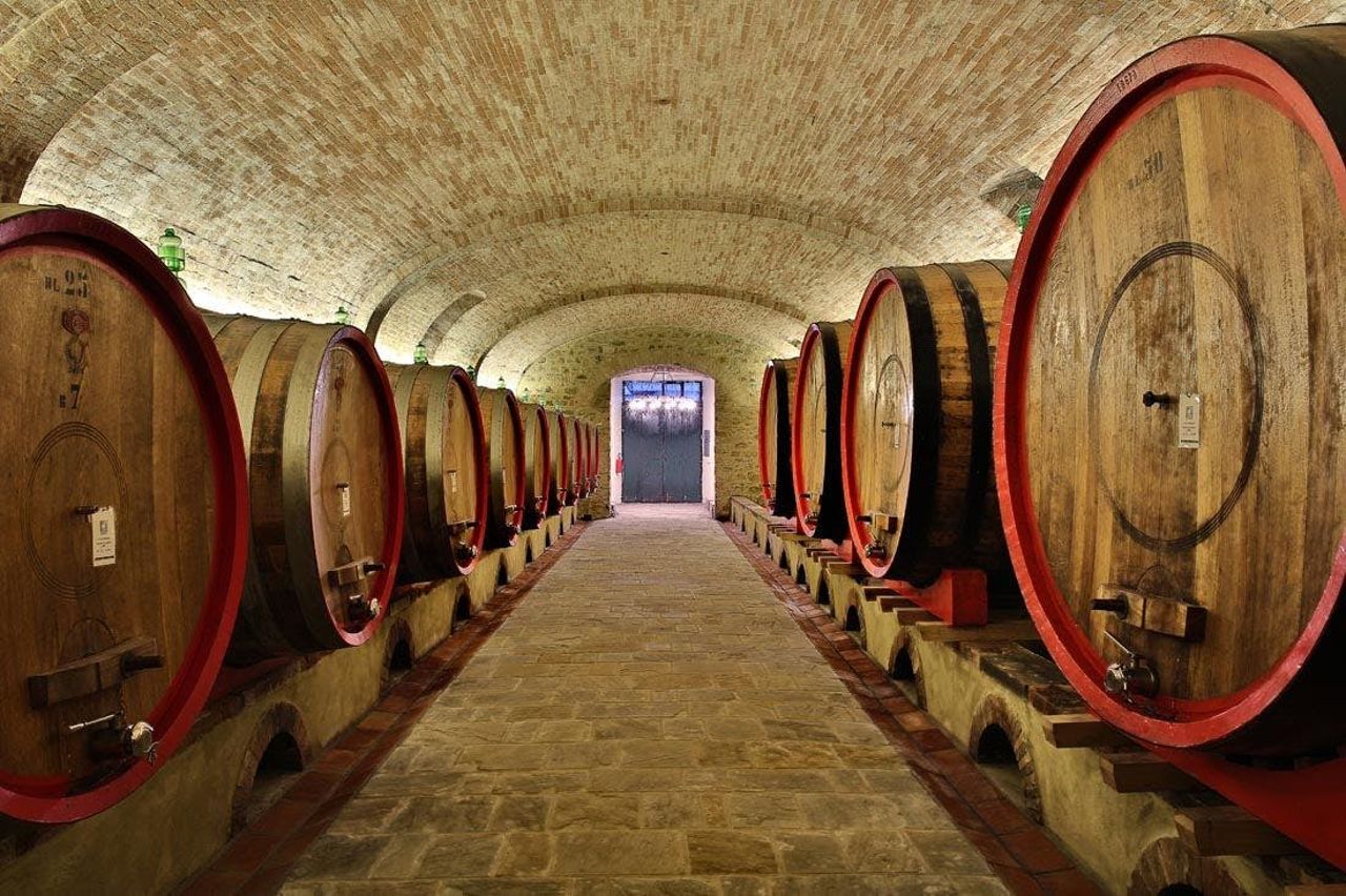 Regione del Chianti: Gita in giornata da Firenze + Tour dei vini in fuoristrada — 3