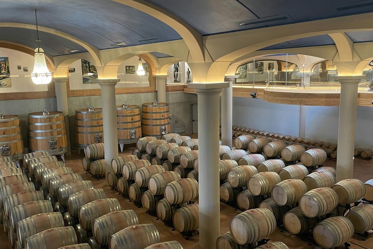 Montepulciano: Tour guidato di andata e ritorno di due aziende vinicole + degustazione di vino e cibo — 3