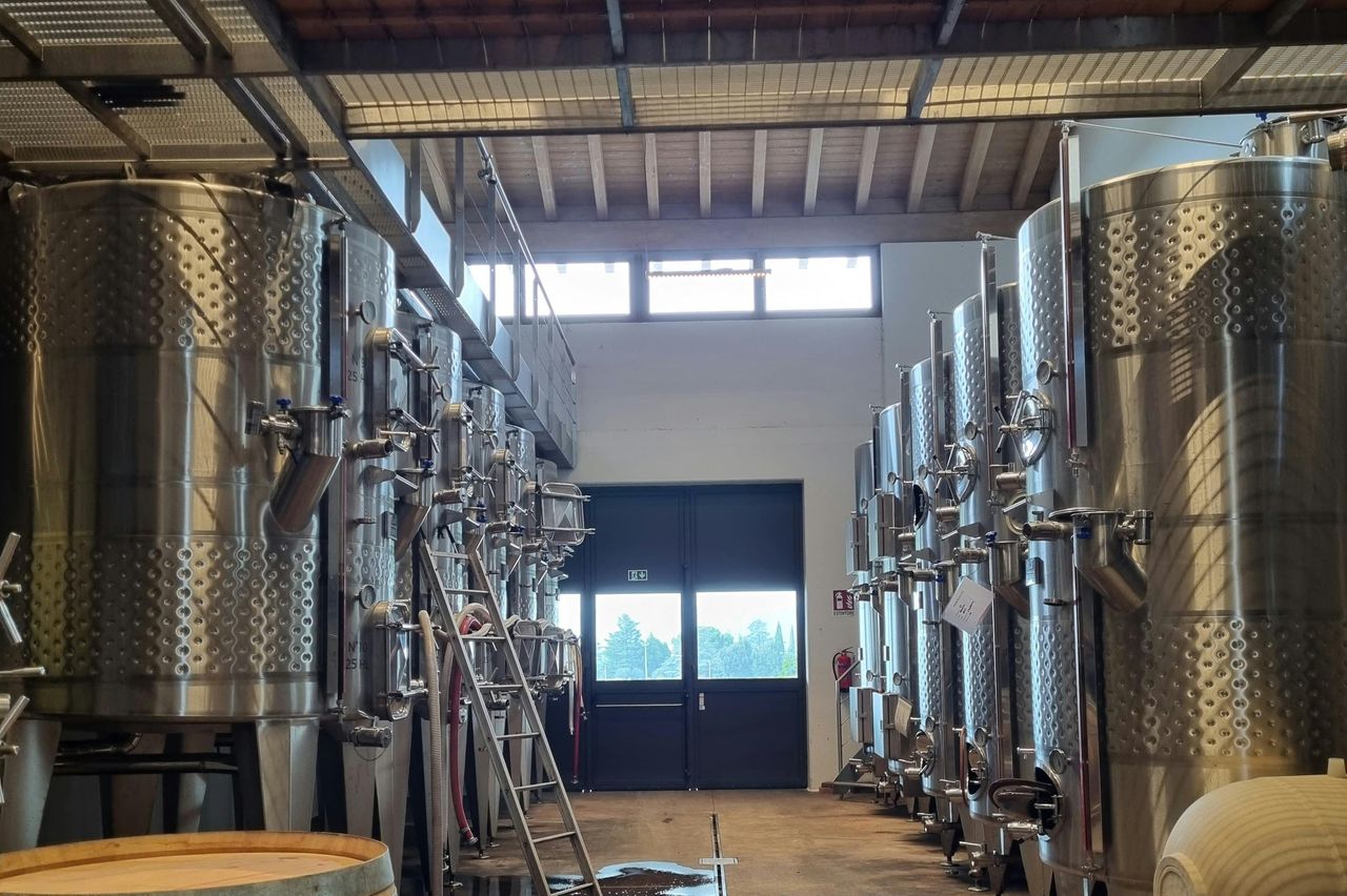 Lago di Garda: Degustazione di vini + Tour dei vigneti di Bardolino — 2