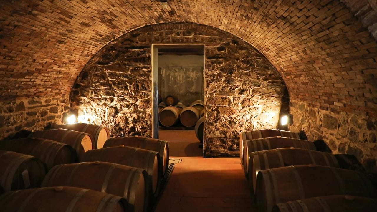 Chianti: Gita in giornata da Firenze + Tour e degustazione di vini — 7
