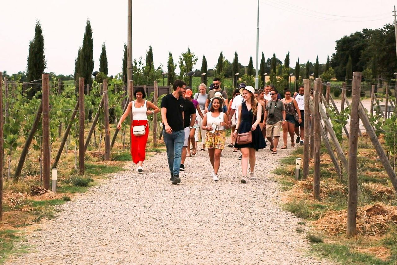 Pisa, Siena e San Gimignano: Gita in giornata da Firenze + Pranzo — 2