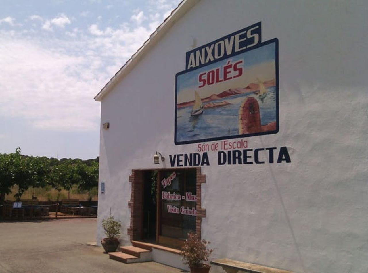 Museo-Fabbrica delle Acciughe diSolés: Biglietto d'ingresso