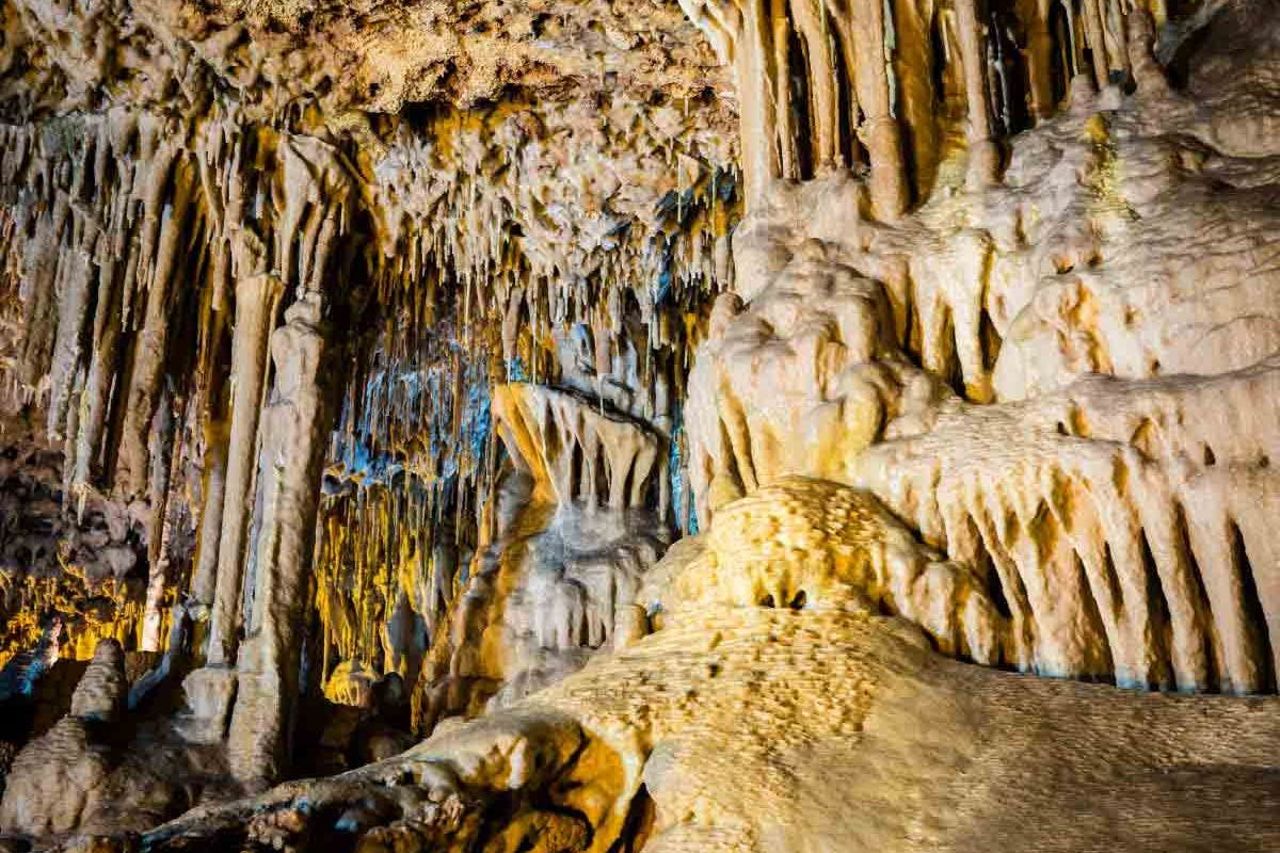 Dinosaurland & Caves dels Hams: Biglietto Combo — 6