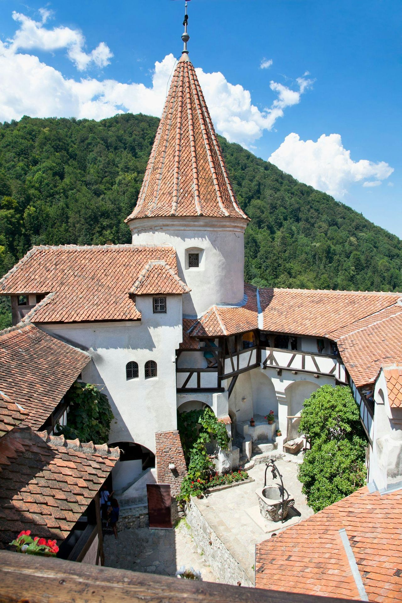 Castello di Dracula: Biglietto d'ingresso + visita guidata