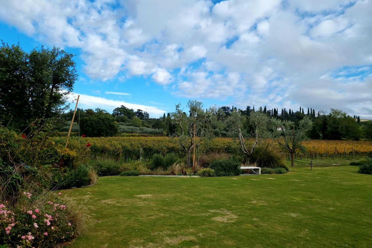 Lago di Garda: Degustazione di vini + Tour dei vigneti di Bardolino — 5
