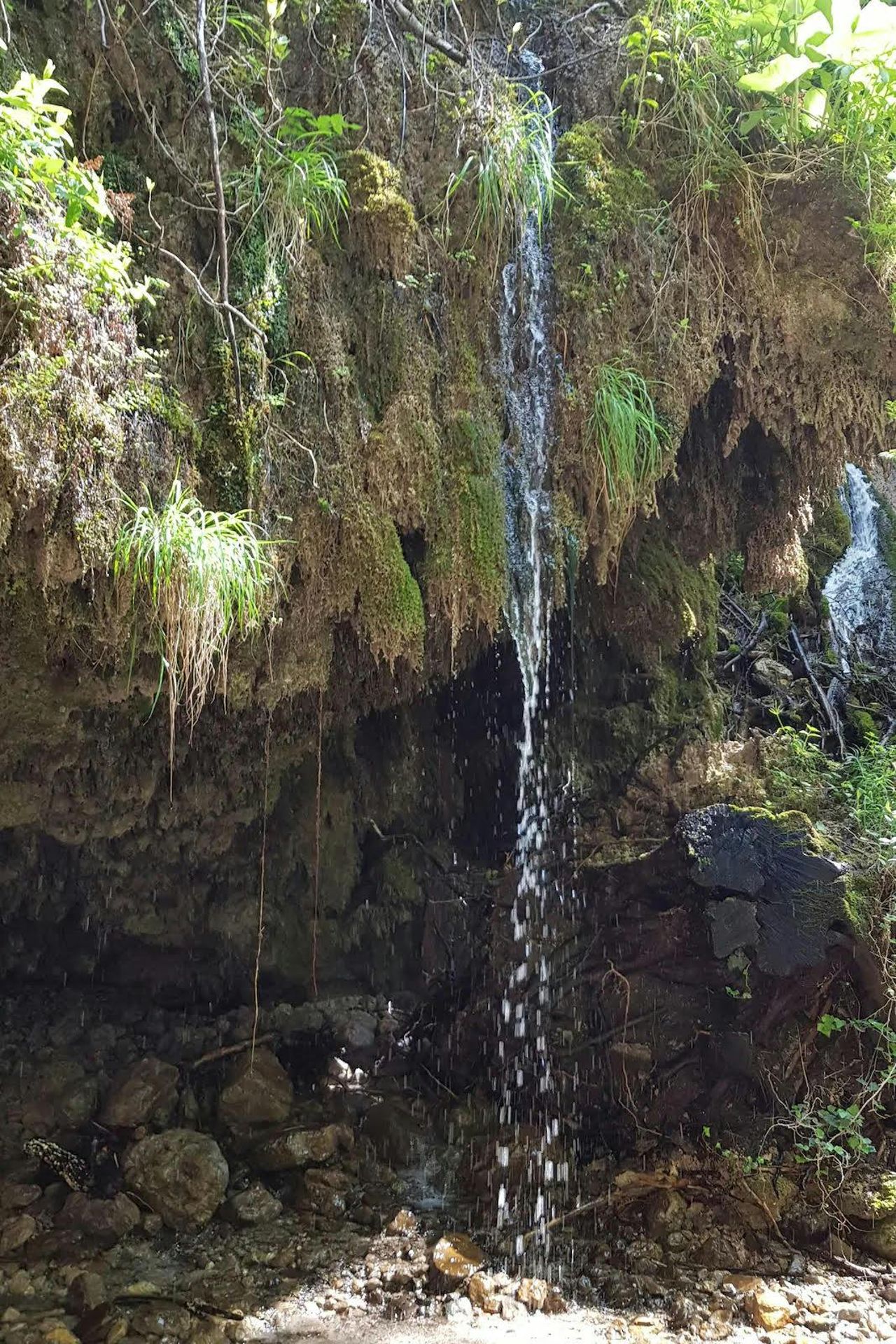 Cascate delle Ferriere: Tour Guidato da Amalfi — 4