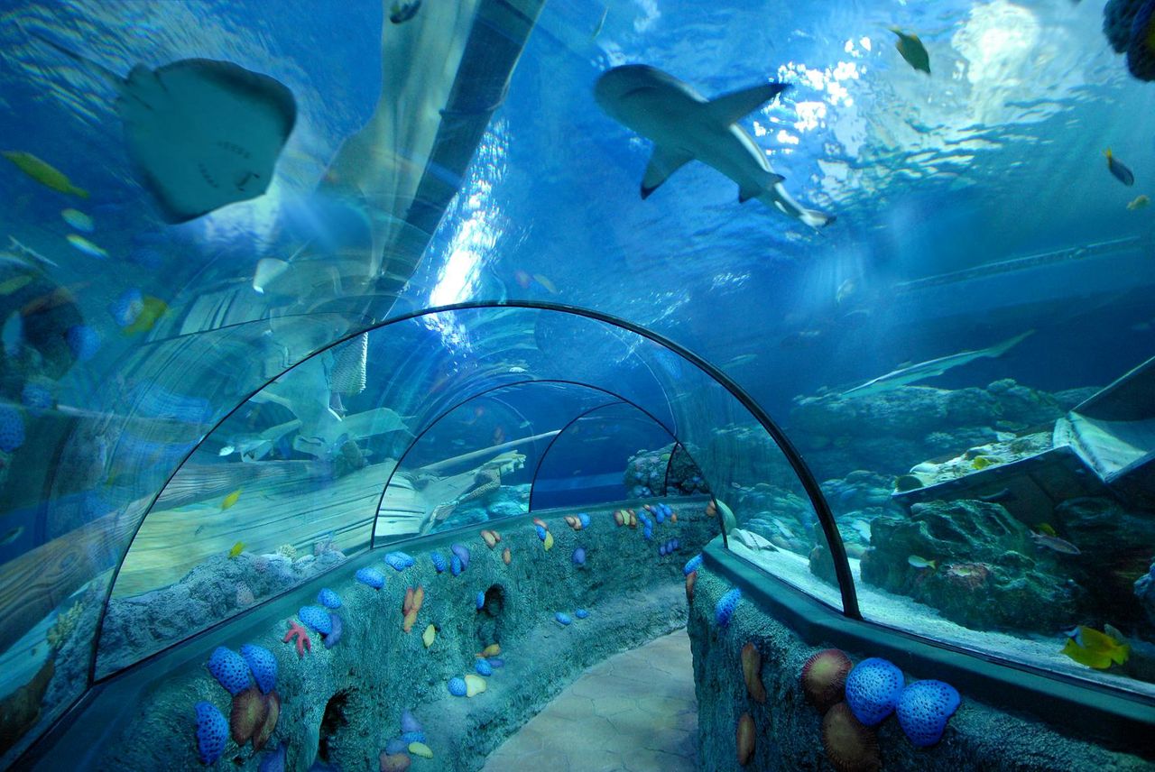 Gardaland Park + Gardaland SEA LIFE Aquarium — 7