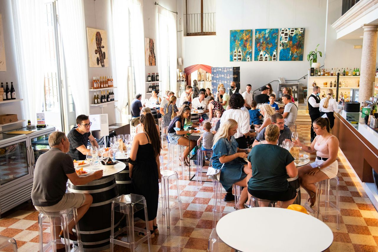 Lago di Garda: Tour in barca di 4 ore con Castelli Scaligeri + Degustazione vini — 7