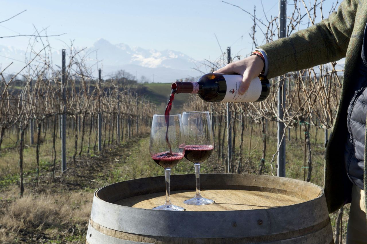 Tour delle cantine storiche d'Abruzzo e degustazione — 5