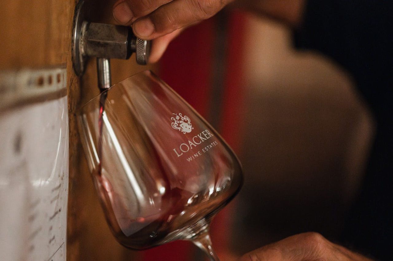 Tenuta vinicola Corte Pavone: Tour del Brunello dietro le quinte e degustazione gastronomica — 7