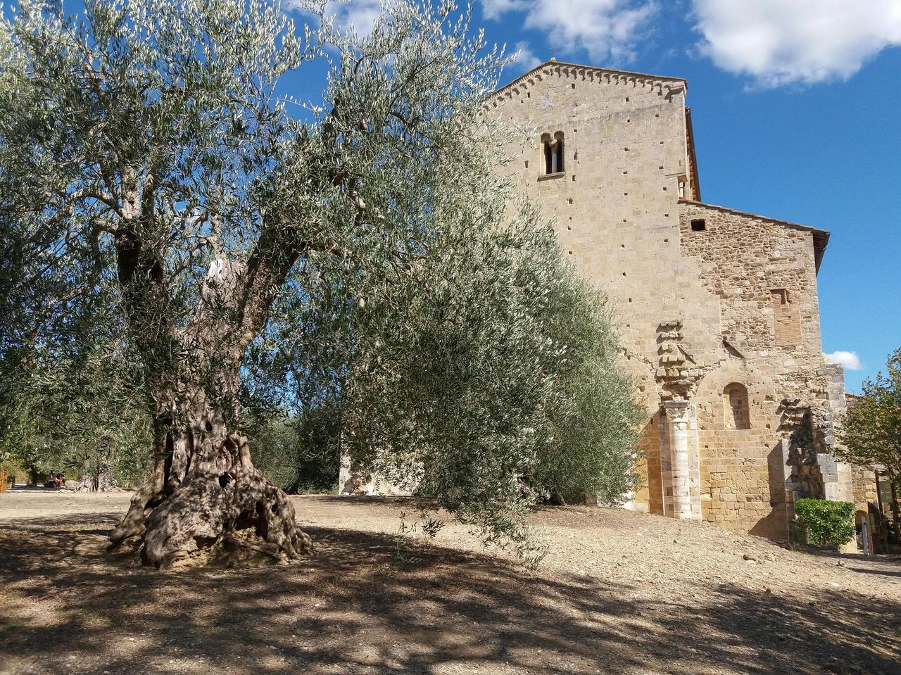 Abbazia di Sant'Antimo: Salta la fila — 3