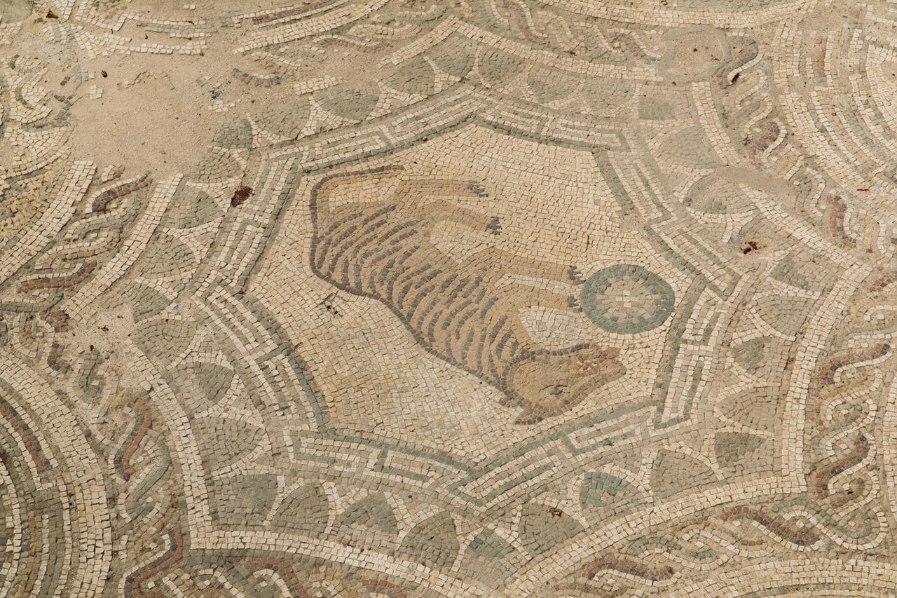Villa Romana di Patti: Biglietto d'ingresso — 4