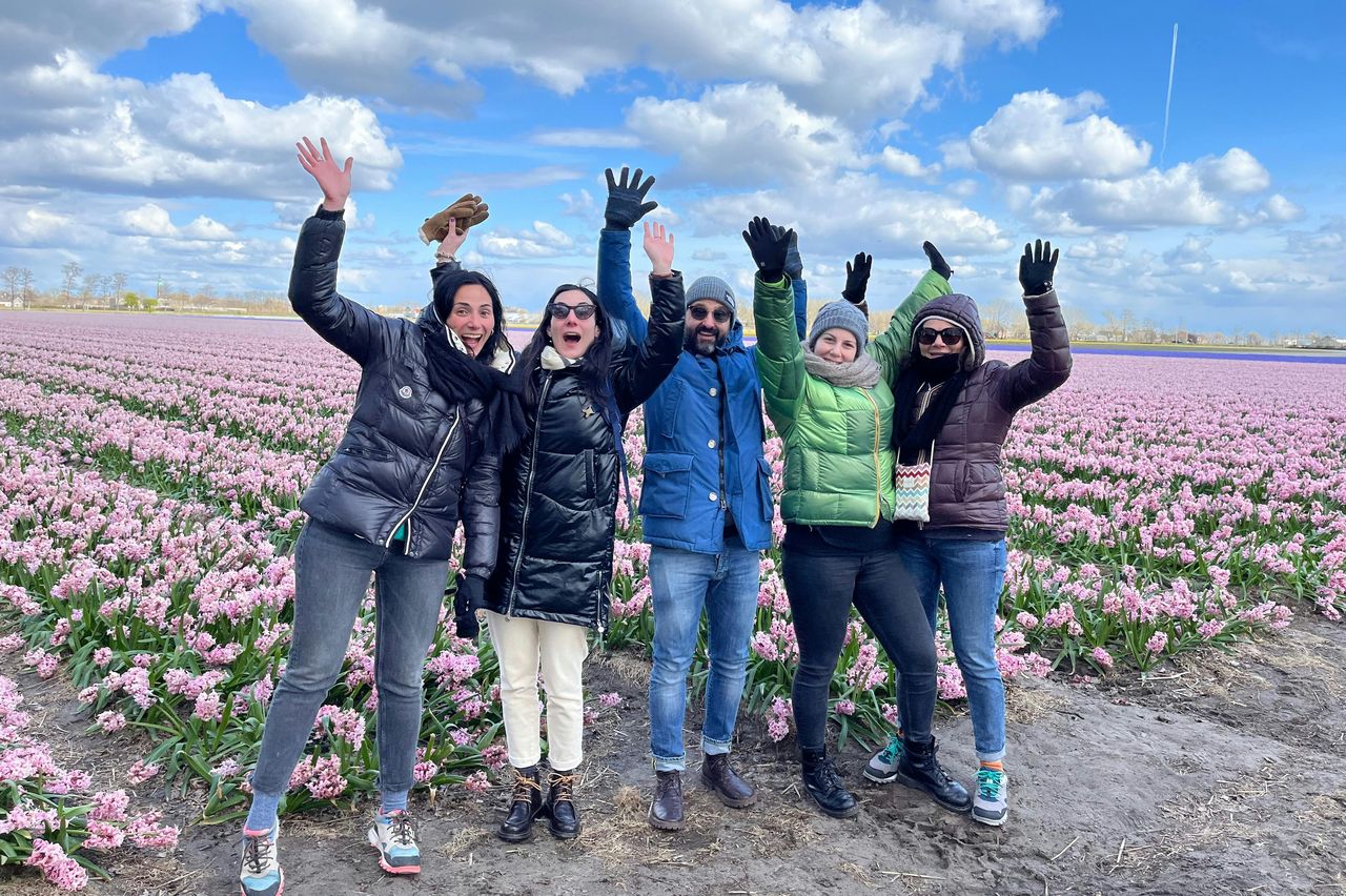 Amsterdam: Tour in bicicletta dei campi di tulipani in piccoli gruppi — 6