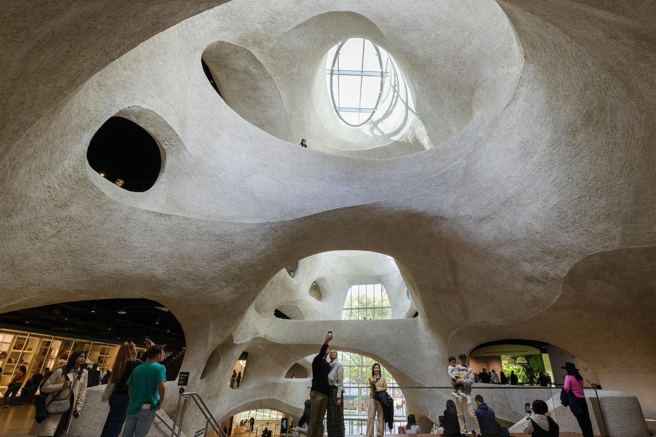 American Museum of Natural History (AMNH): Tutte le mostre con biglietto — 5