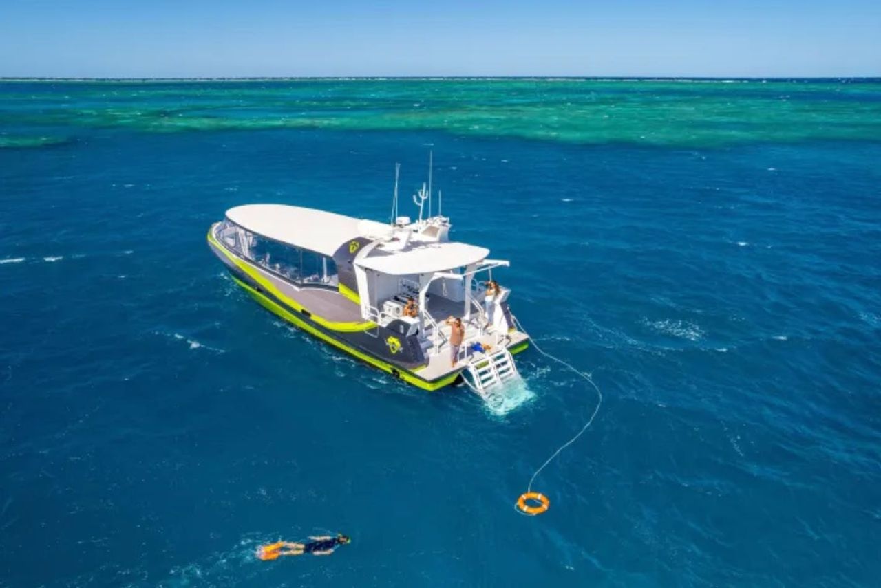 Grande barriera corallina e spiaggia di Whitehaven: Tour guidato per lo snorkeling