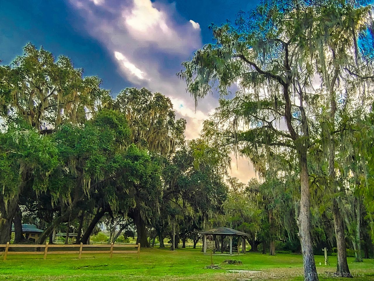Kissimmee: tour notturno delle Everglades in motoscafo di 1 ora a Boggy Creek — 6