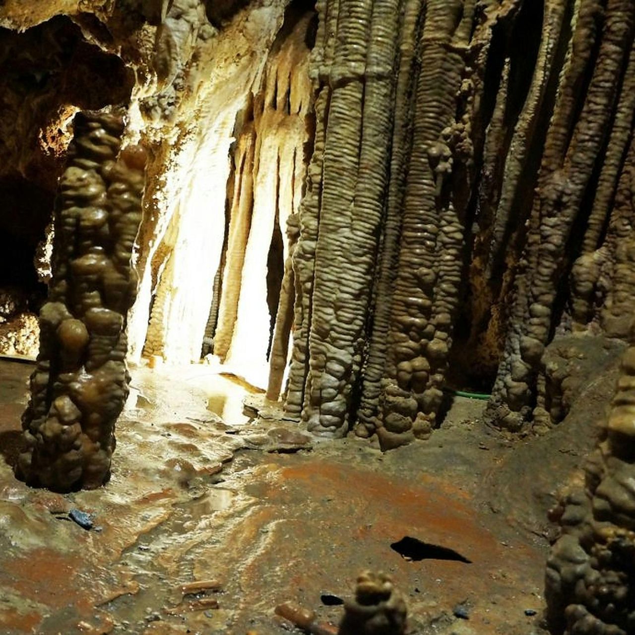 Grotte di Génova - Palma di Maiorca: Biglietto salta-coda — 5