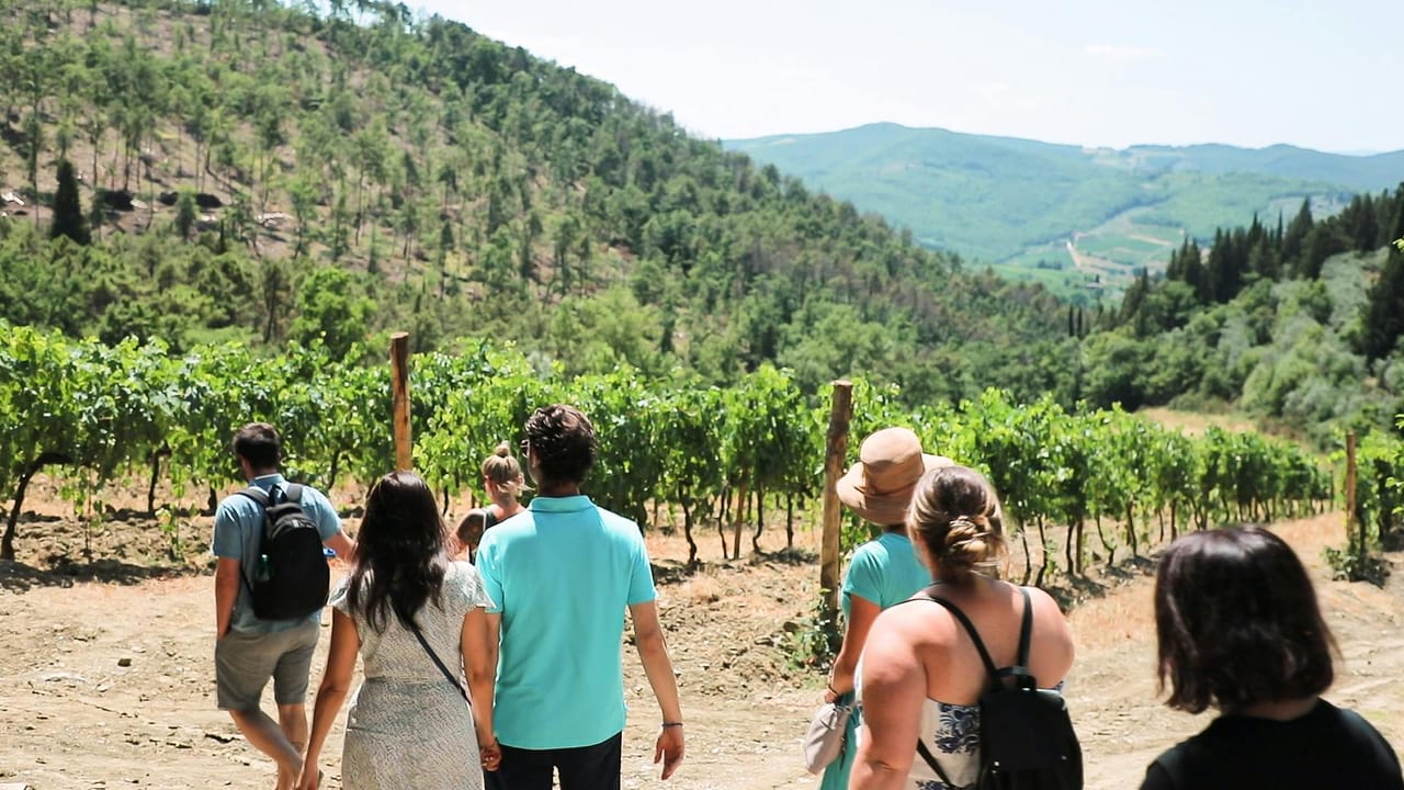 Chianti: Gita in giornata da Firenze + Tour e degustazione di vini — 8