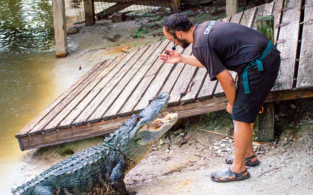 Orlando: Wild Florida - Tour in motoscafo di un'ora con parco degli alligatori Biglietti — 8