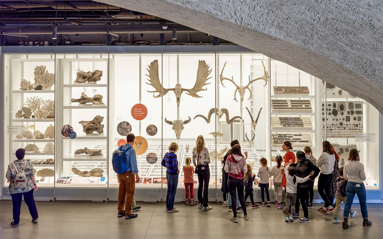 Biglietti per il Museo americano di storia naturale — 2