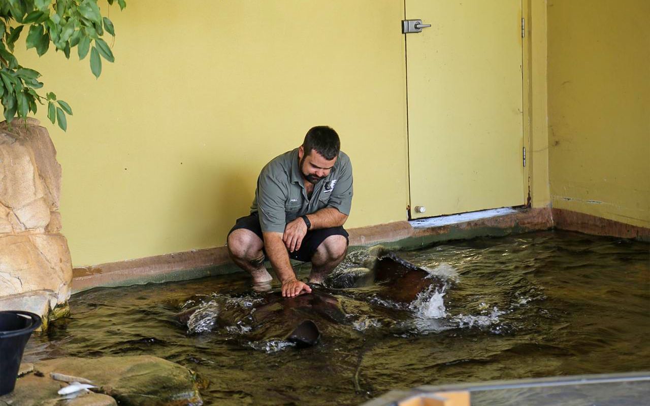 Biglietti per Crocosaurus Cove con Incontro con la frusta — 3