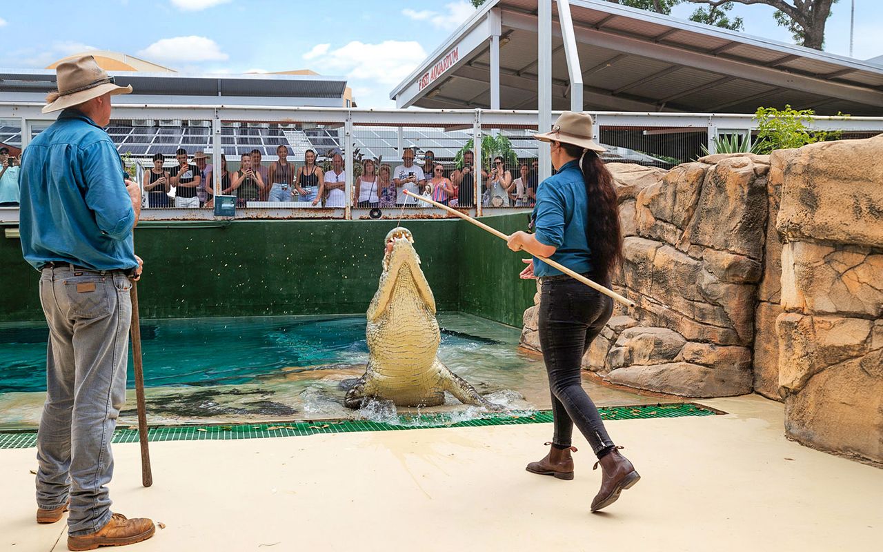 Crocosaurus Cove