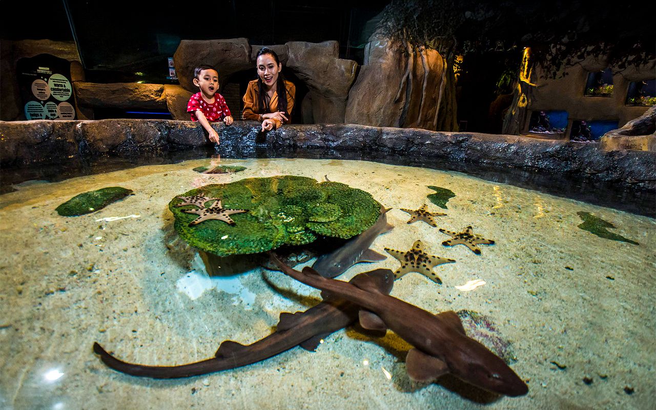 acquario kuala lumpur — 4