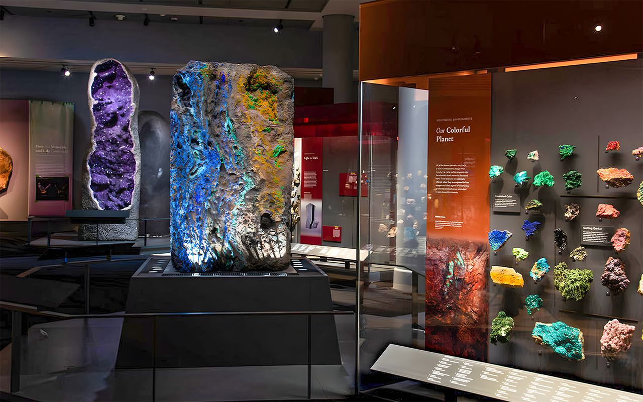 Biglietti per il Museo americano di storia naturale — 4