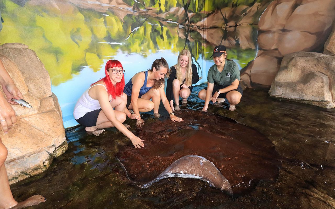 Biglietti per Crocosaurus Cove con Incontro con la frusta