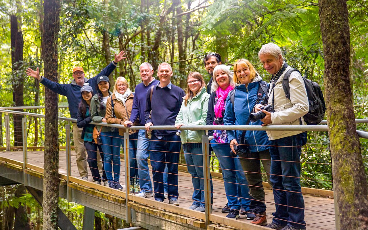 Tour delle Blue Mountains: Pranzo, Scenic World, Zoo di Sydney o Featherdale Wildlife Park, foto di Koala e ritorno in traghetto dal porto — 6