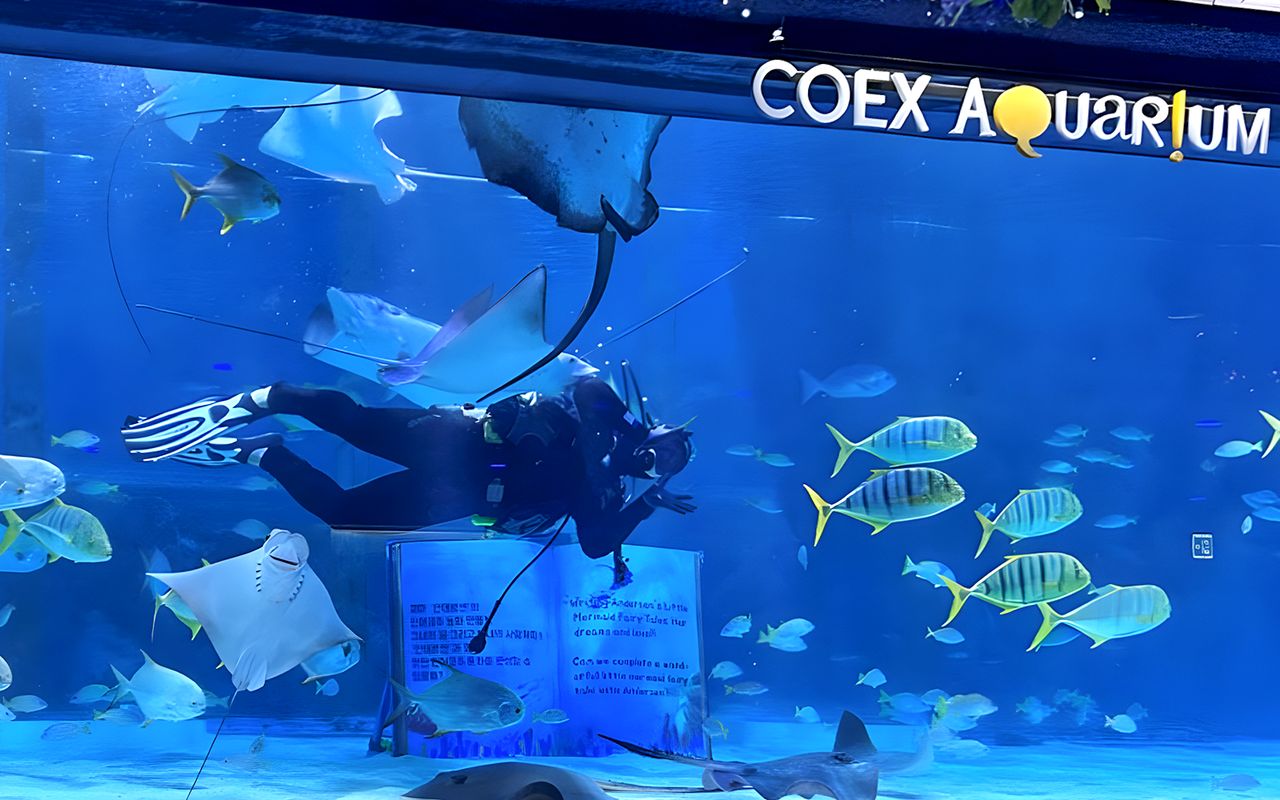 Biglietti per il SEA LIFE COEX, Acquario di Seoul — 7
