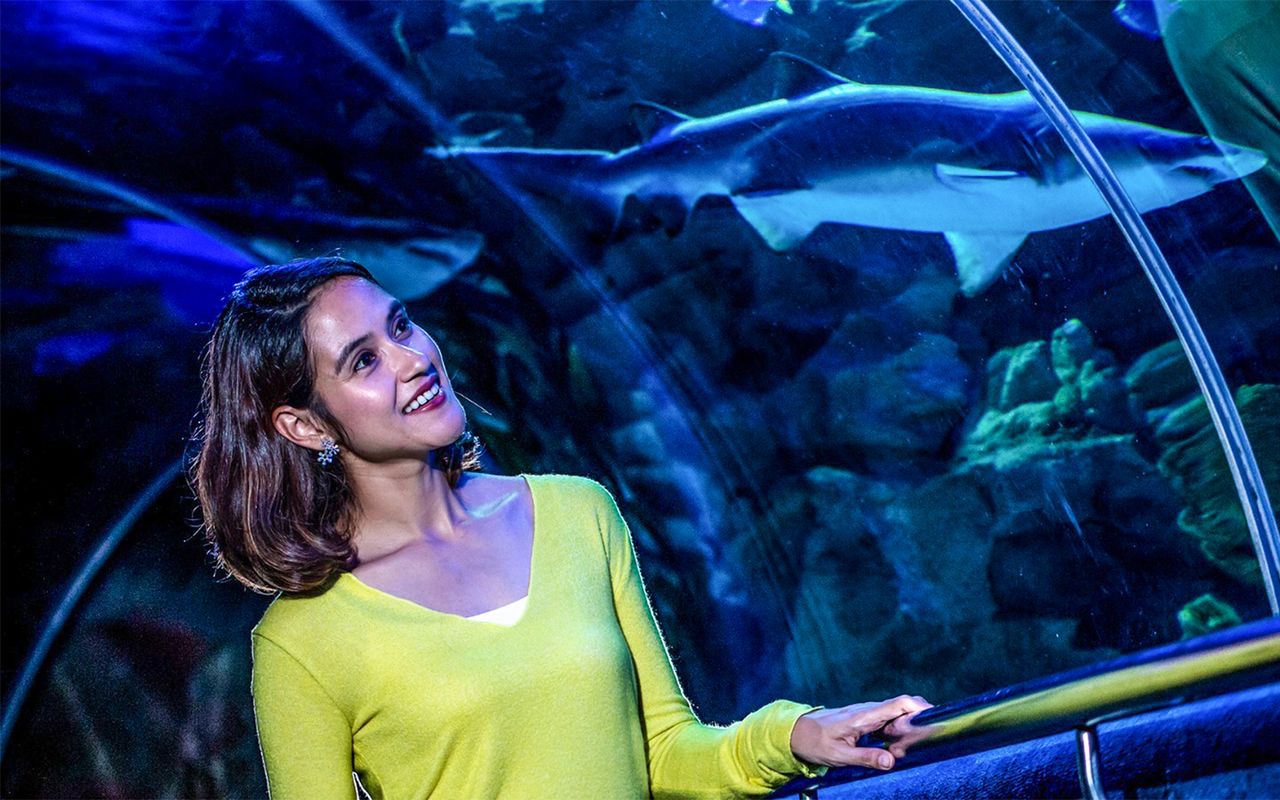 acquario kuala lumpur — 2