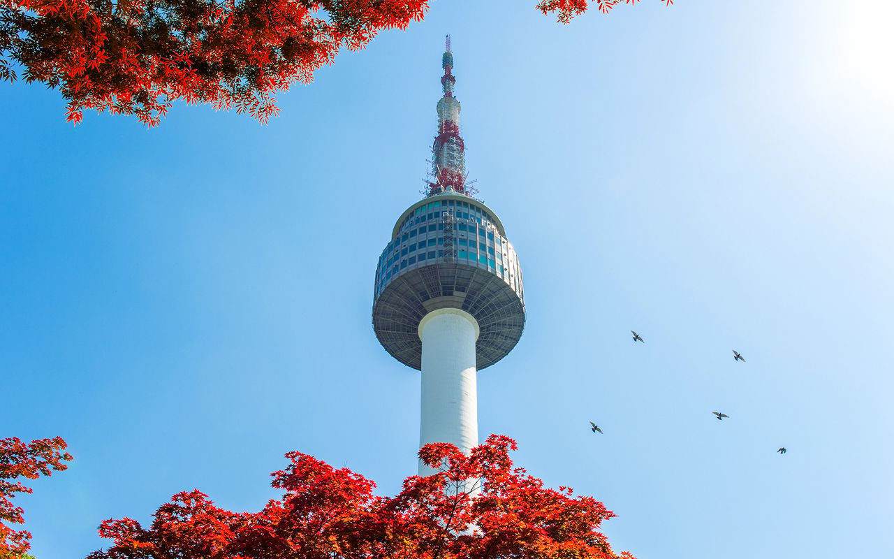 Biglietti per l'Osservatorio di N Seoul Tower