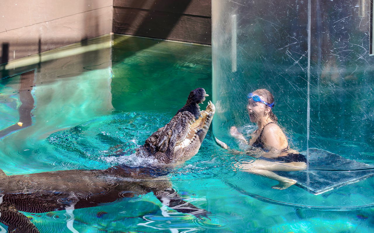 Crocosaurus Cove: biglietti per la gabbia della morte