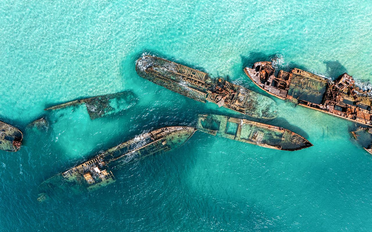 Isola di Moreton: Tour di immersioni subacquee a Tangalooma — 2