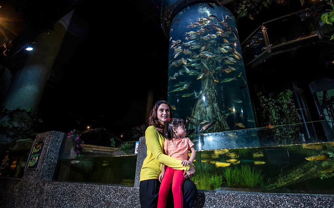 acquario kuala lumpur — 5