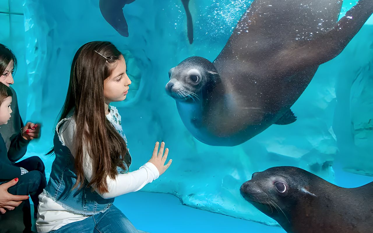 Biglietti per Gardaland — 4