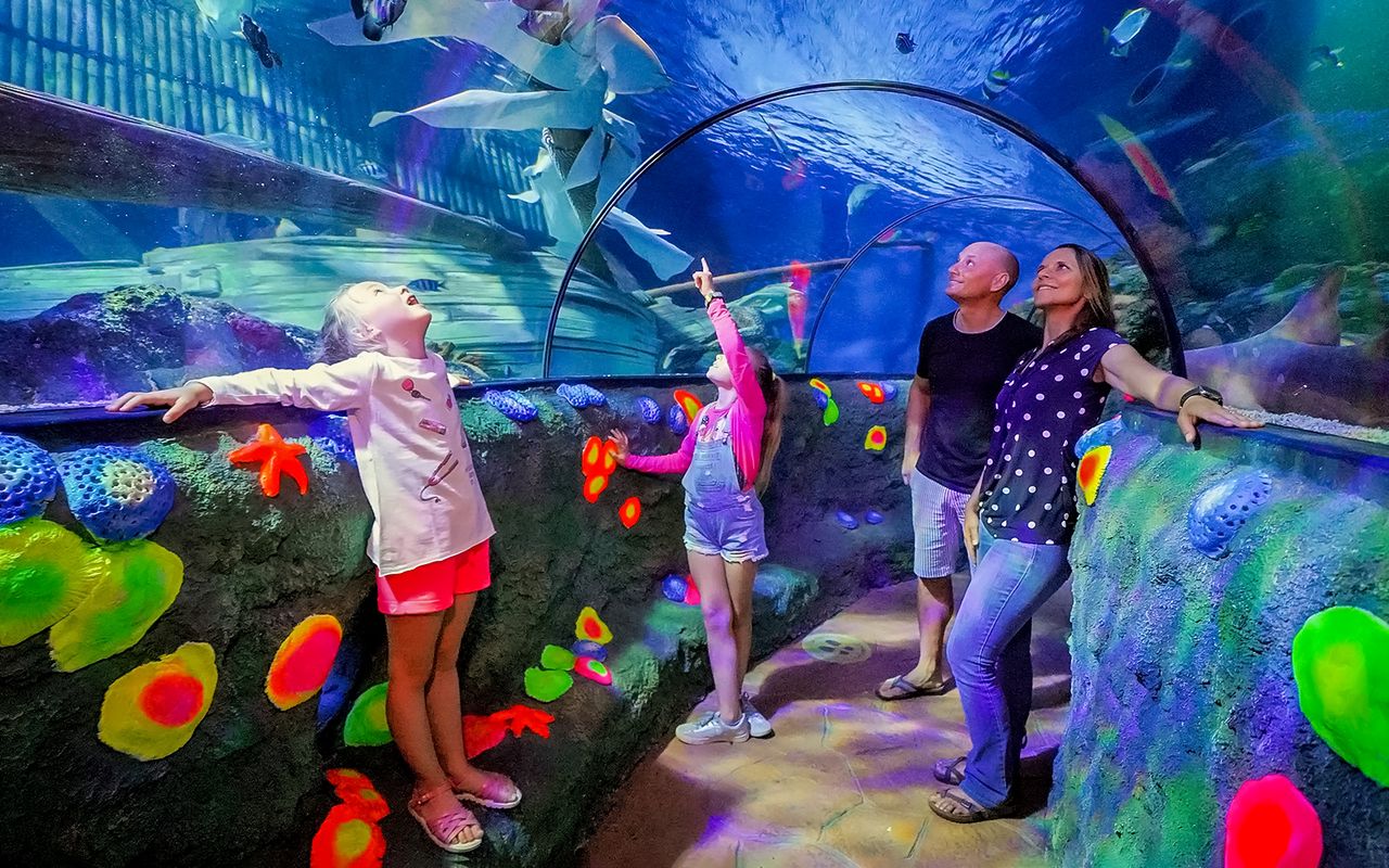 Biglietti d'ingresso al Gardaland SEA LIFE Aquarium — 4