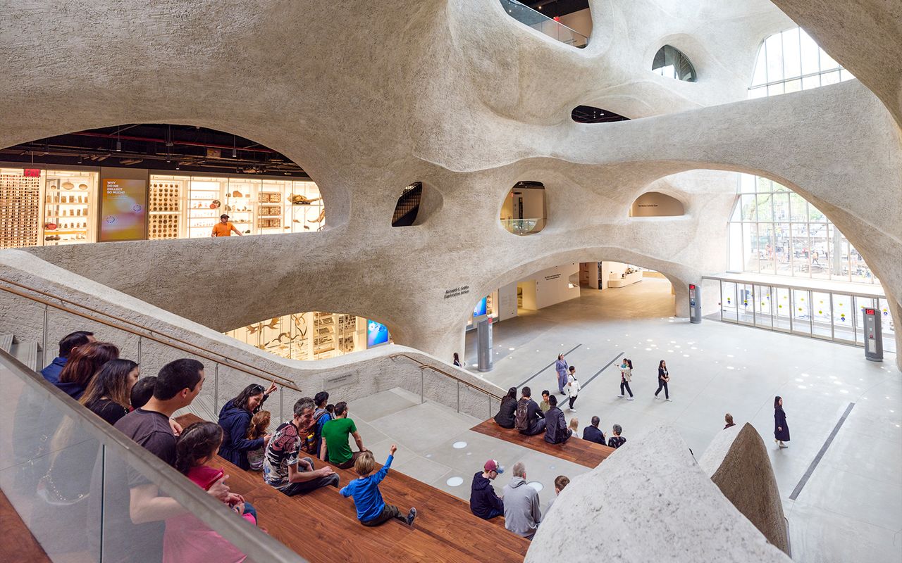 Biglietti per il Museo americano di storia naturale — 8