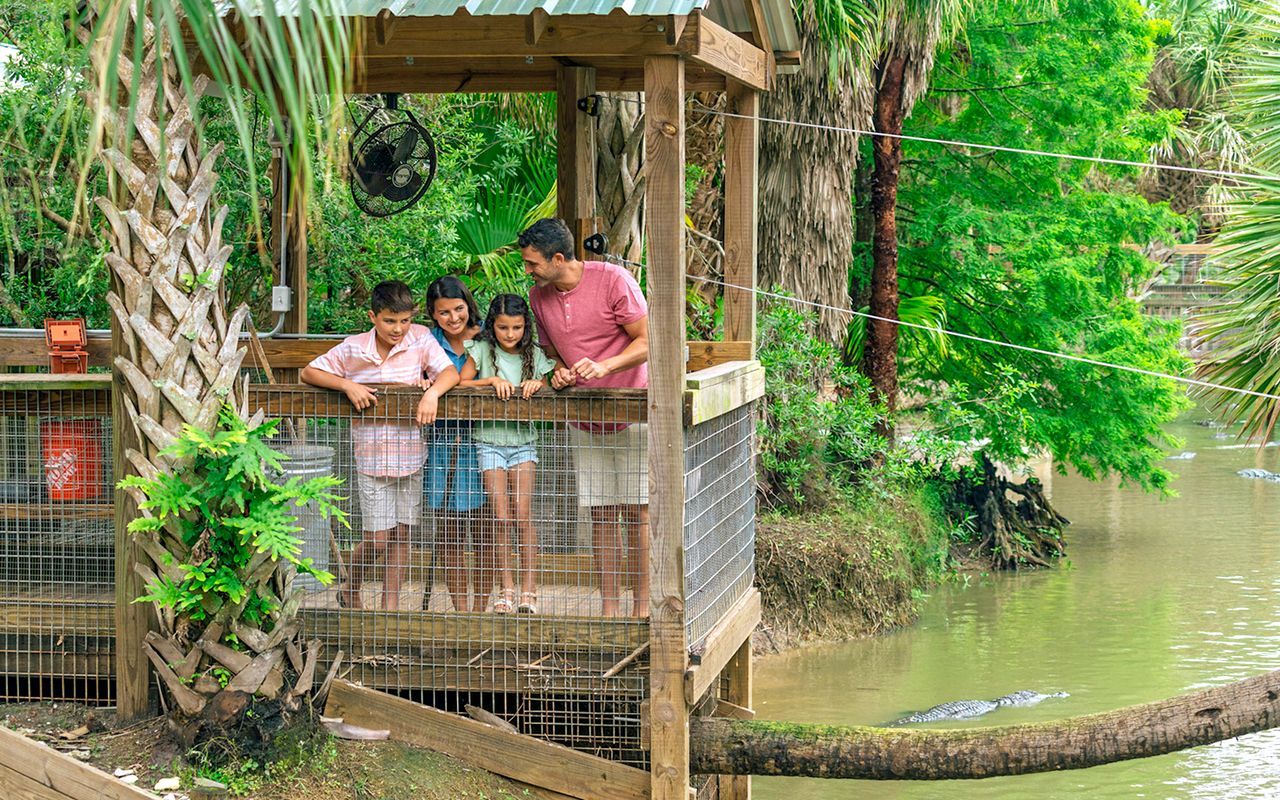 Orlando: Wild Florida - Tour in motoscafo di un'ora con parco degli alligatori Biglietti — 5