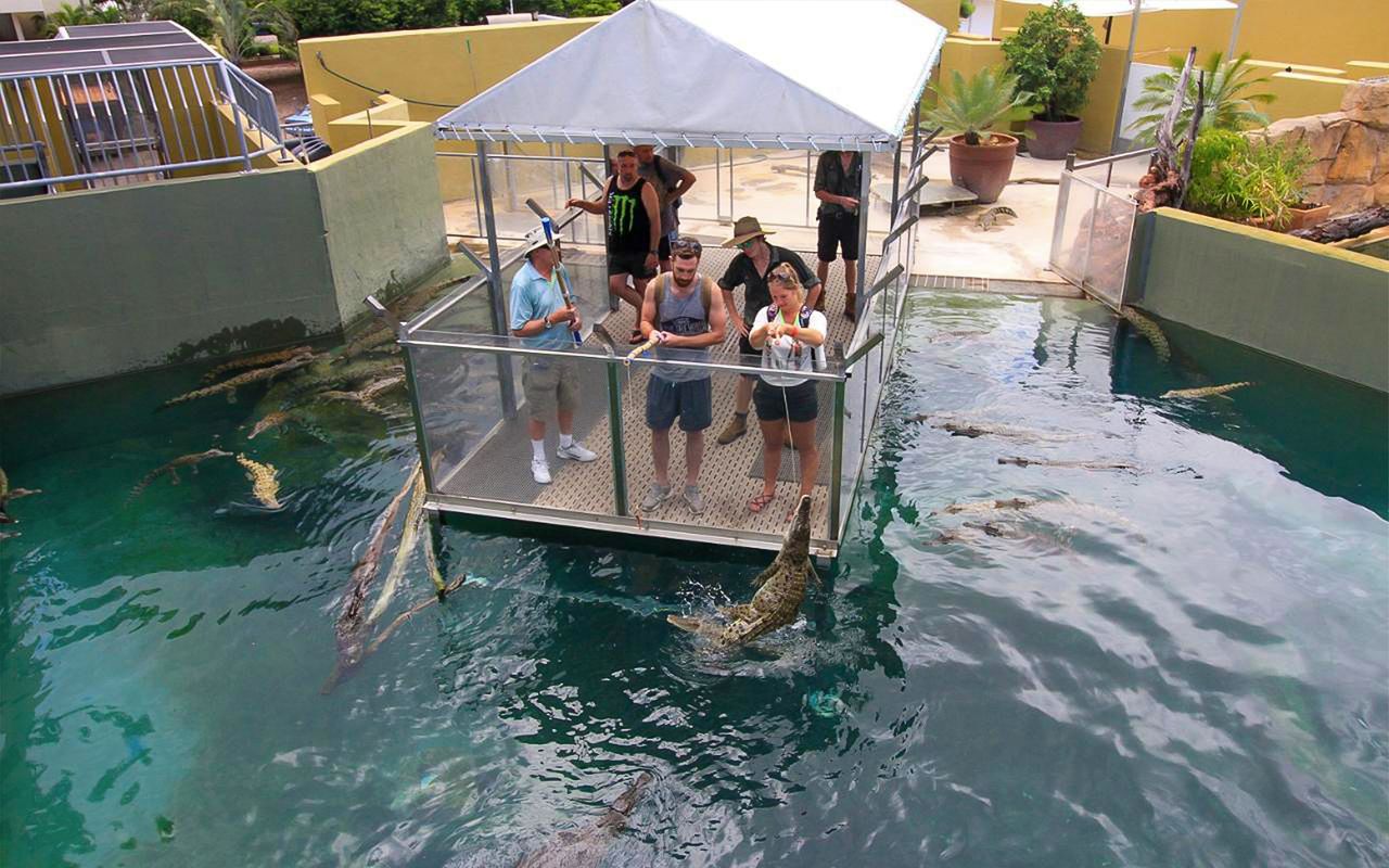 Biglietti Crocosaurus Cove con tour VIP — 2