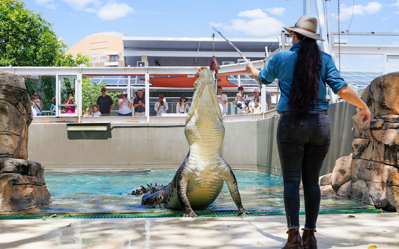 Biglietti per Crocosaurus Cove con Incontro con la frusta — 7
