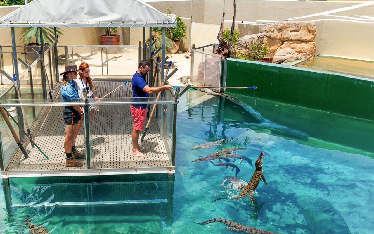 Biglietti Crocosaurus Cove con tour VIP — 3