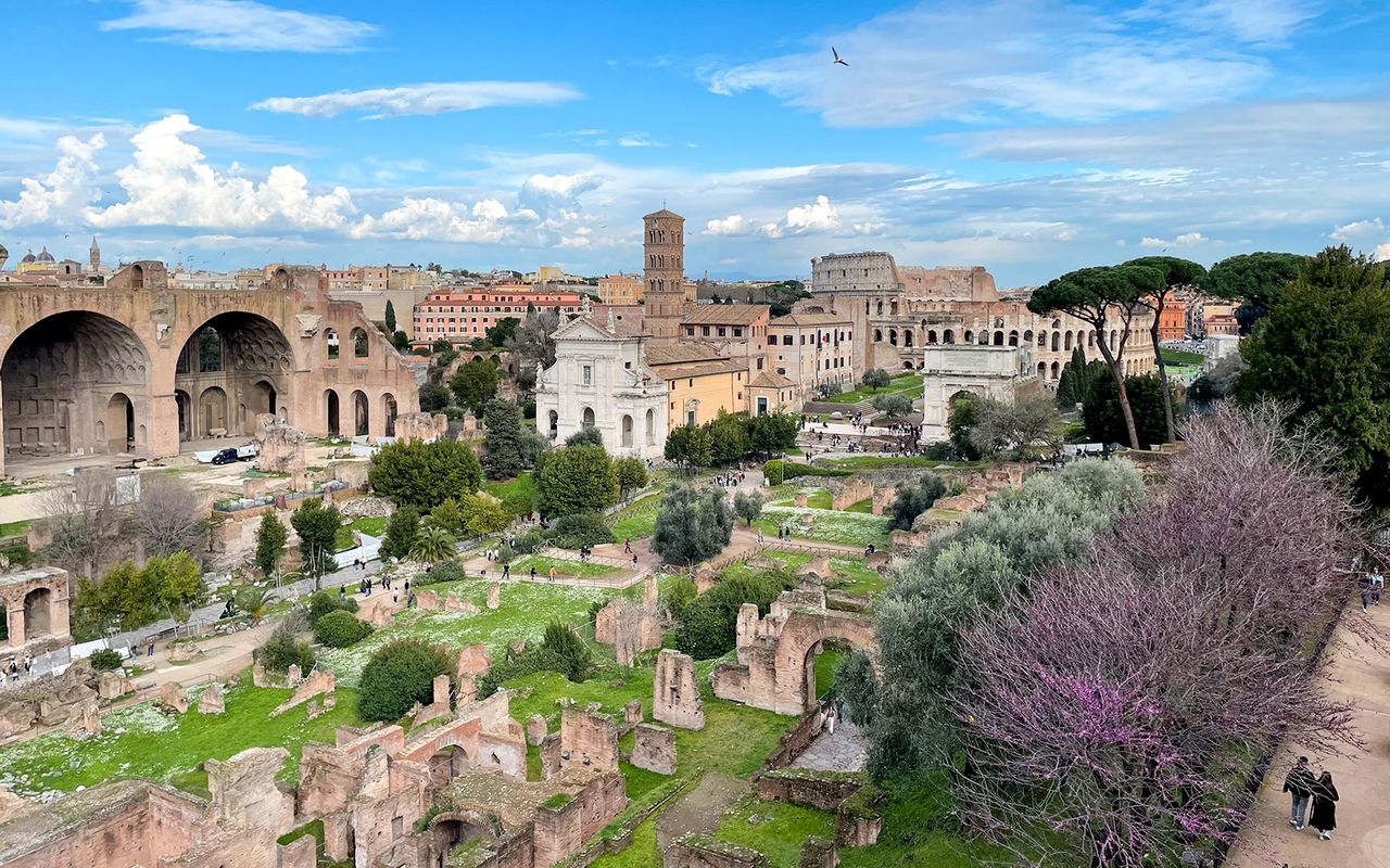 Accesso al Colosseo, al Colle Palatino e al Foro Romano — 7